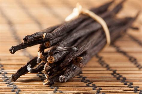 is vanilla bean poisonous.